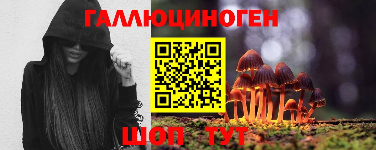 Псилоцибиновые грибы Magic Shrooms  Вход с VPN  Котельники 