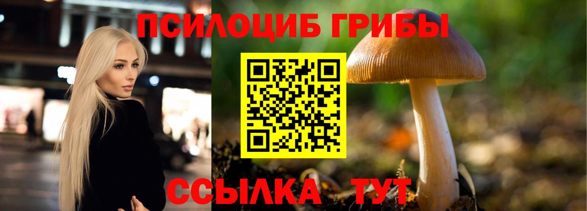 Галлюциногенные грибы Psilocybe Котельники
